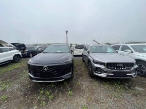 Продажи китайских автомобилей в России снизились на 27% за январь-июль 2025 года — отчёт «Автостат Инфо»