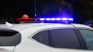 С 1 сентября ужесточается наказание за непропуск спецтранспорта и растут госпошлины — основные изменения для водителей