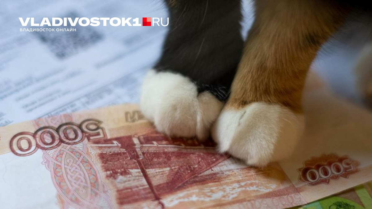 Более 100 тыс. пользователей выступили против проекта Минпромторга о повышении утильсбора на автомобили