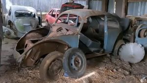 Коллекционер обнаружил на заброшенном участке несколько Volkswagen Beetle, включая редкий «сплит-виндоу»