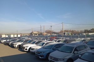 Владивостокская и Уссурийская таможни перешли на круглосуточное оформление авто для физлиц