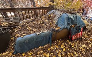 Энтузиаст нашёл под слоем хвои Porsche 911 Targa 1970 года, простаивавший 31 год во дворе в Айдахо